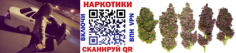 Хочу наркоту Зеленогорск A-PVP Амфетамин ОМГ ОМГ ССЫЛКА БУТИРАТ Мефедрон Гашиш NBOMe