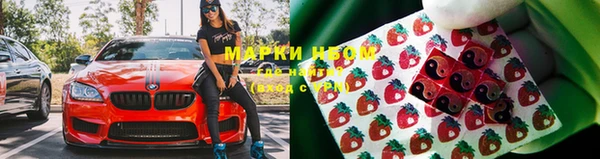 дмт Дмитровск