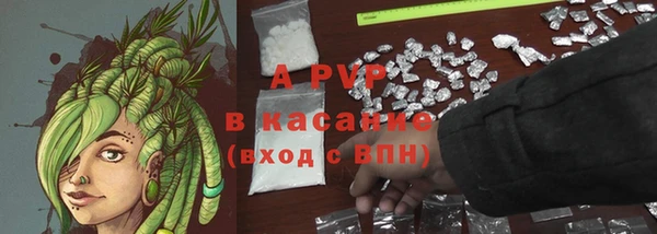ГАЛЛЮЦИНОГЕННЫЕ ГРИБЫ Елабуга