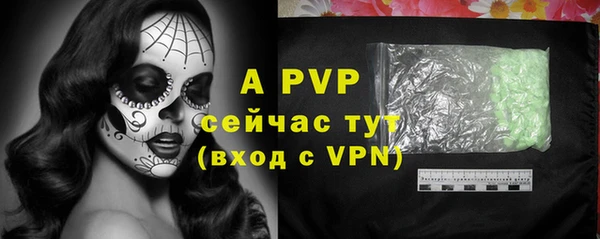 ГАЛЛЮЦИНОГЕННЫЕ ГРИБЫ Елабуга