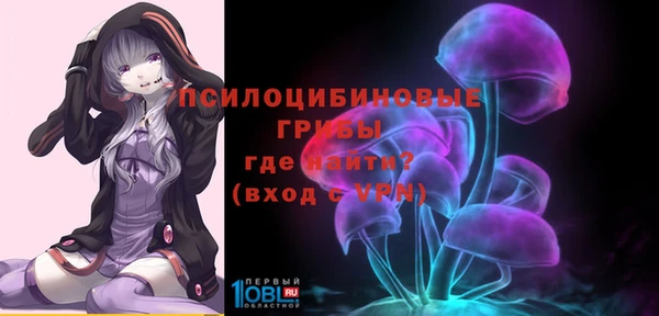 дмт Дмитровск