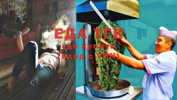 ГАЛЛЮЦИНОГЕННЫЕ ГРИБЫ Елабуга