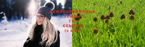 COCAINE Дмитриев
