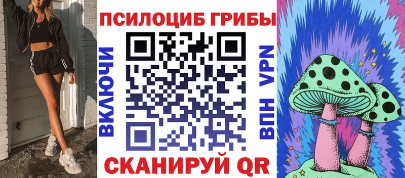 Галлюциногенные грибы Cubensis  хочу   KRAKEN зеркало  Зеленогорск 