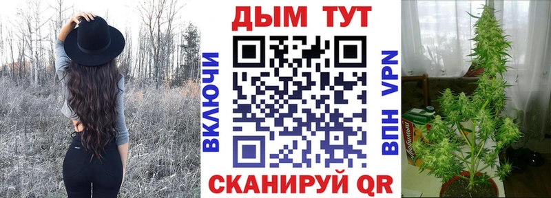 Канабис Amnesia Зеленогорск